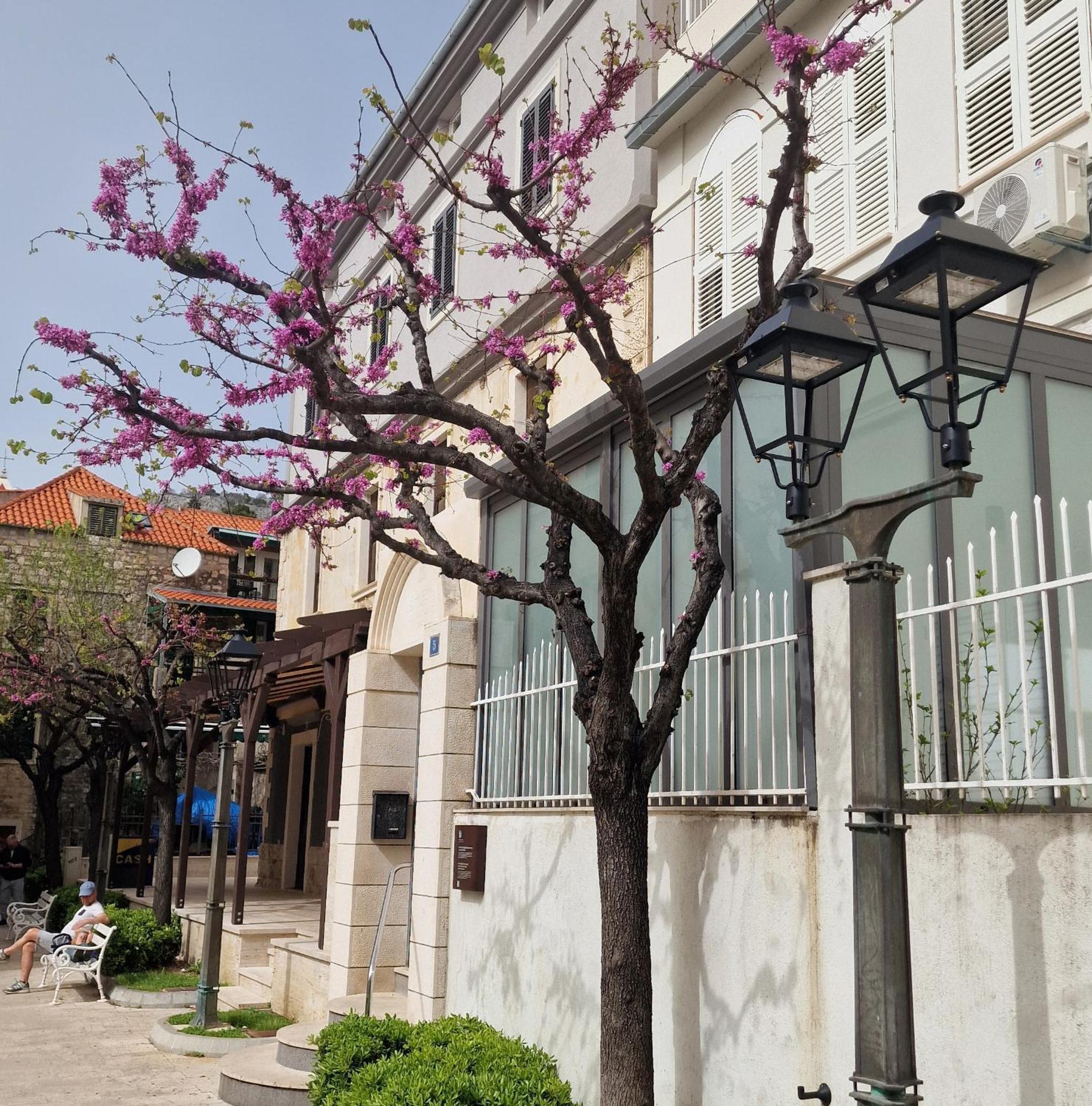Old Town Apartment Omis Bagian luar foto