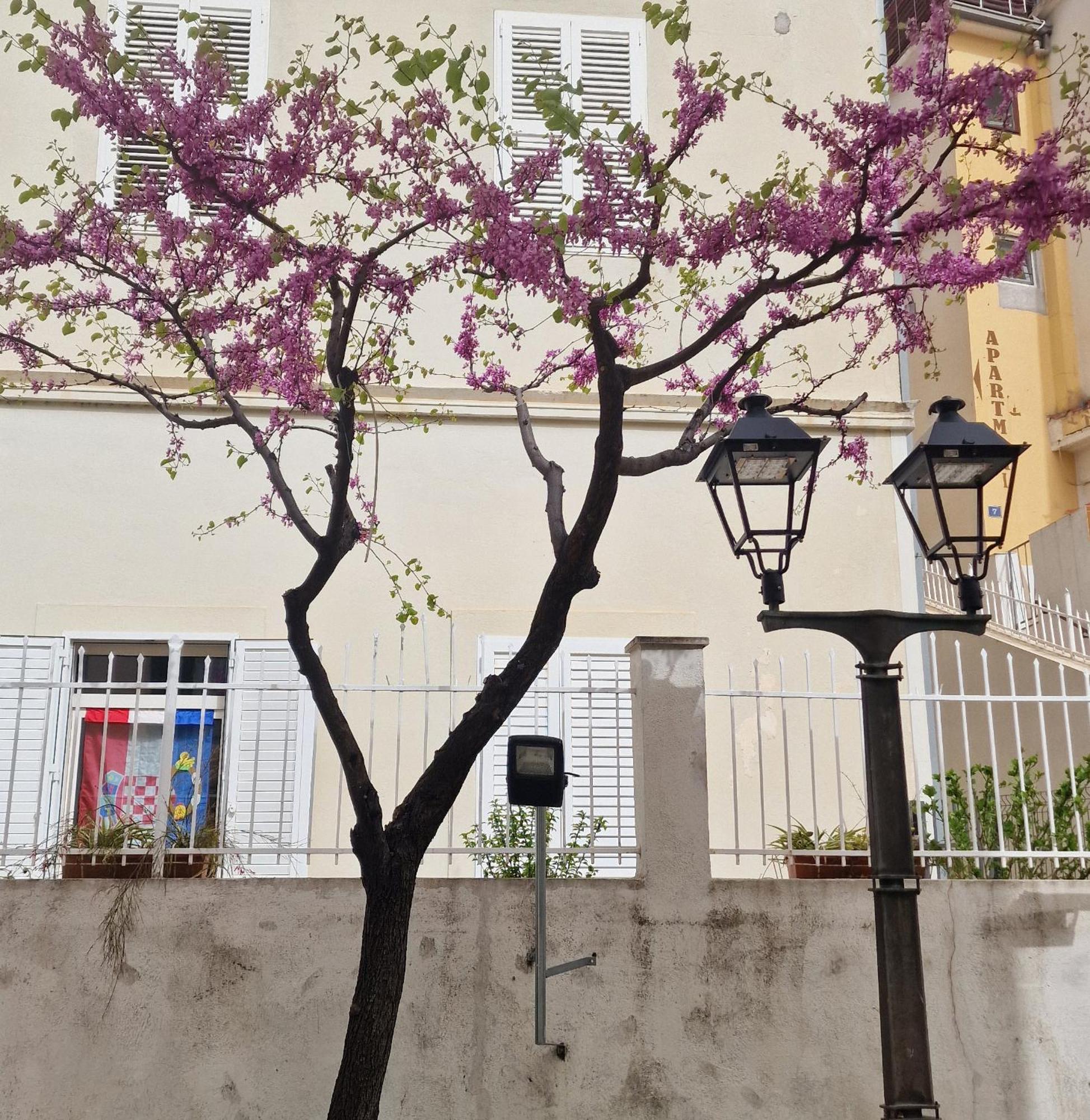 Old Town Apartment Omis Bagian luar foto